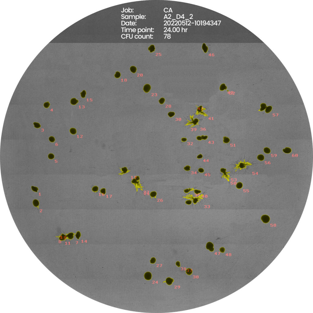 Candida-Albicans-new
