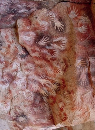 Clinical microbiology and infection