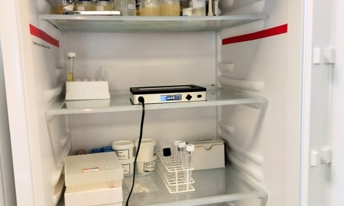 Inside-refrigerator